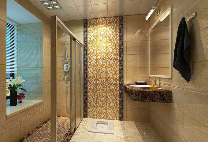 淋浴房装蹲便器效果图图片