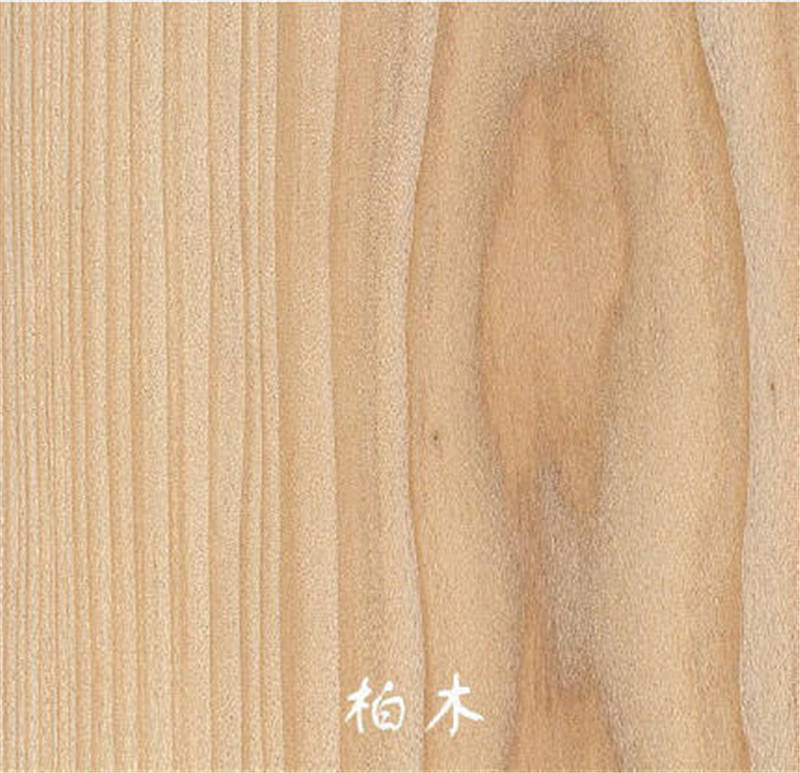 696529740983492637_副本.jpg