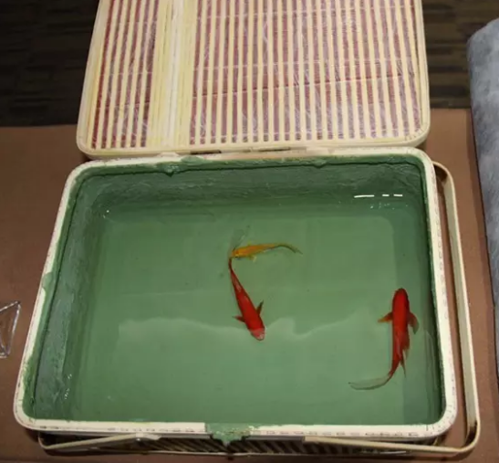 装饰公司