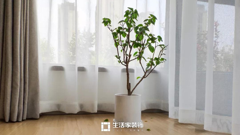 现代简约家装效果图