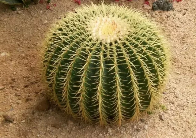1474517490512042290.jpg 640.webp (1).jpg