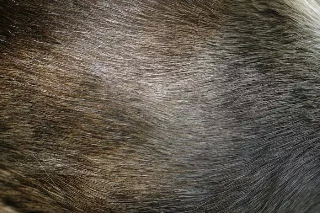 1474517501439028603.jpg 640.webp (3).jpg