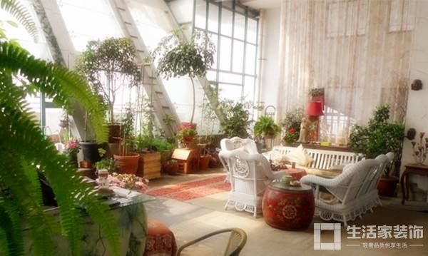 旺宅风水 植物