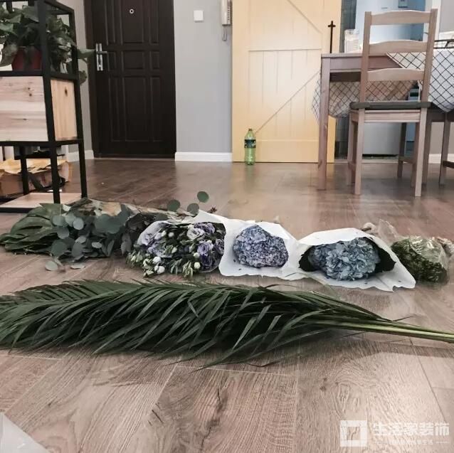 旧房改造 植物进场