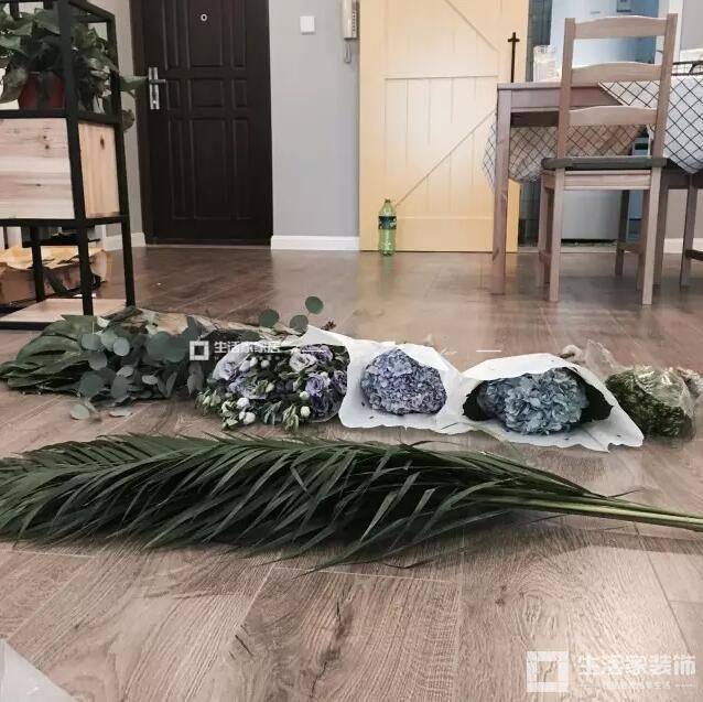 舊房改造 植物進場