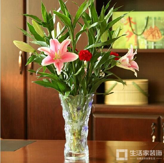 婚房装修 植物