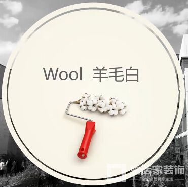 羊毛白