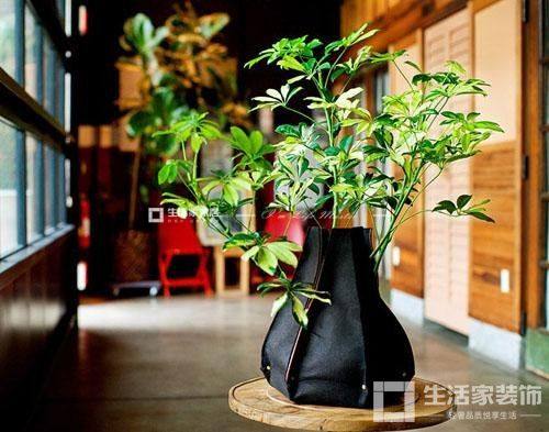 家裝設計 綠植