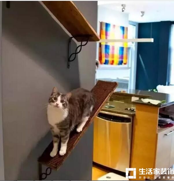 家有萌宠，别墅该如何做装修？