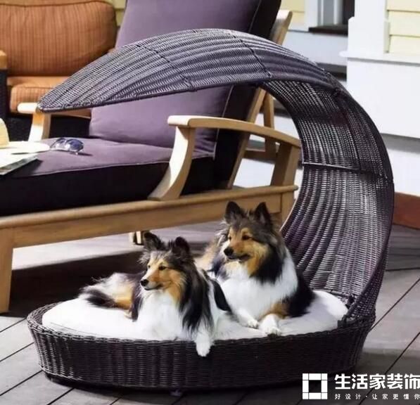 家有萌宠，别墅该如何做装修？