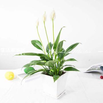 广州家装公司
