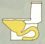 21.webp.jpg