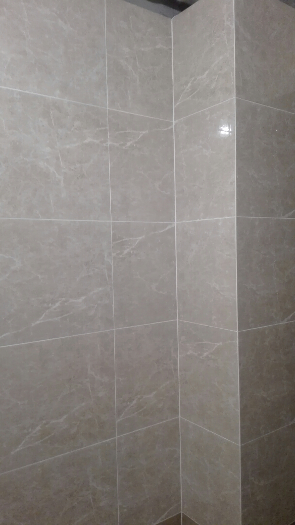 中海凤凰熙岸墙砖验收效果图