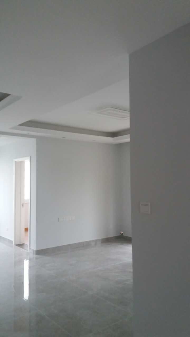 新湖明珠城竣工验收效果图