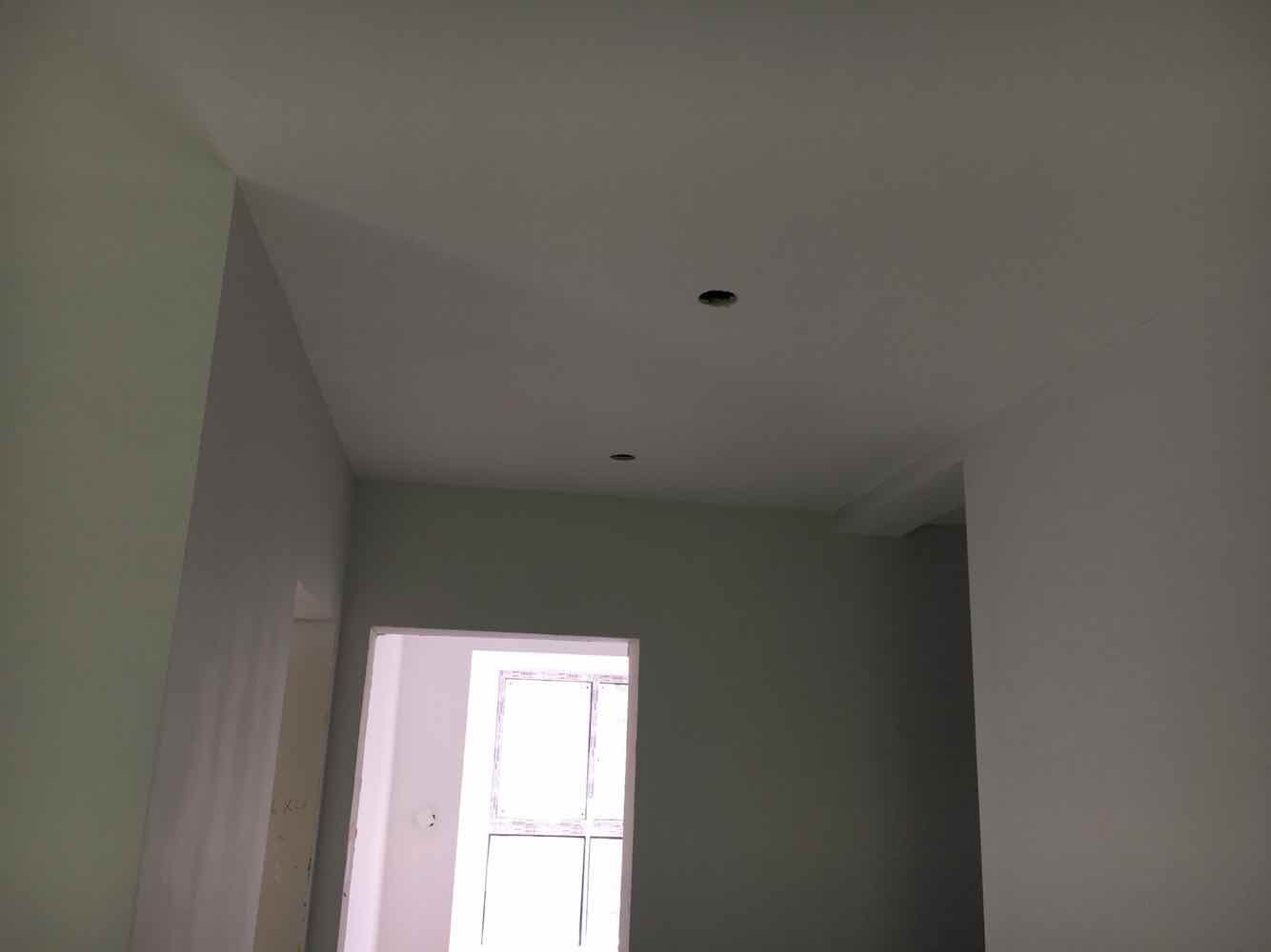 新湖明珠城油面及乳胶漆面漆验收效果图