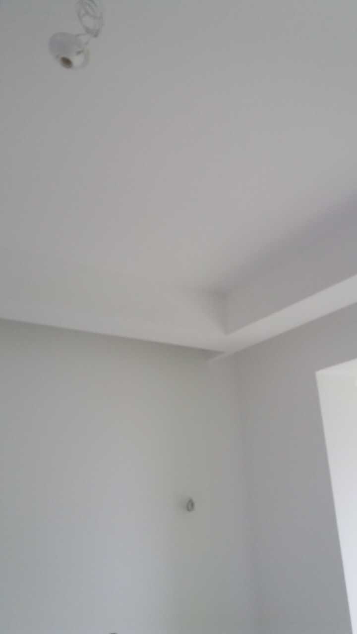 新湖明珠城油面及乳胶漆面漆验收效果图