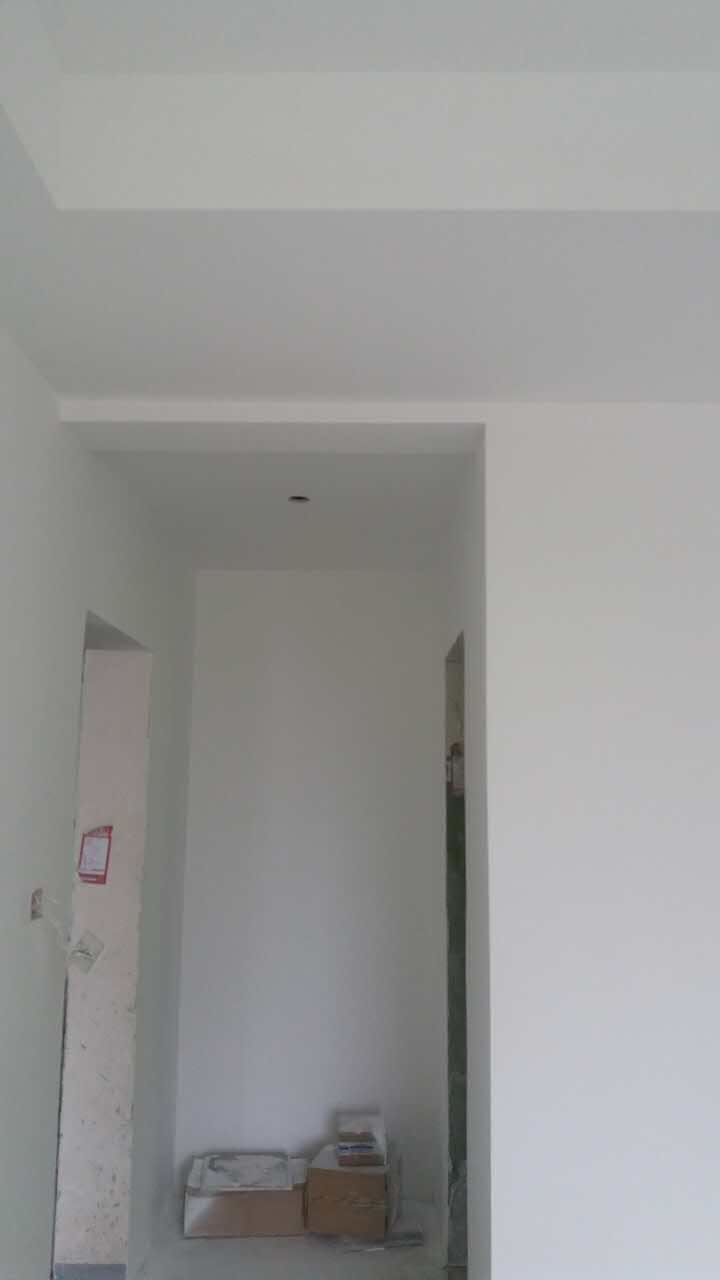 新湖明珠城油面及乳胶漆面漆验收效果图