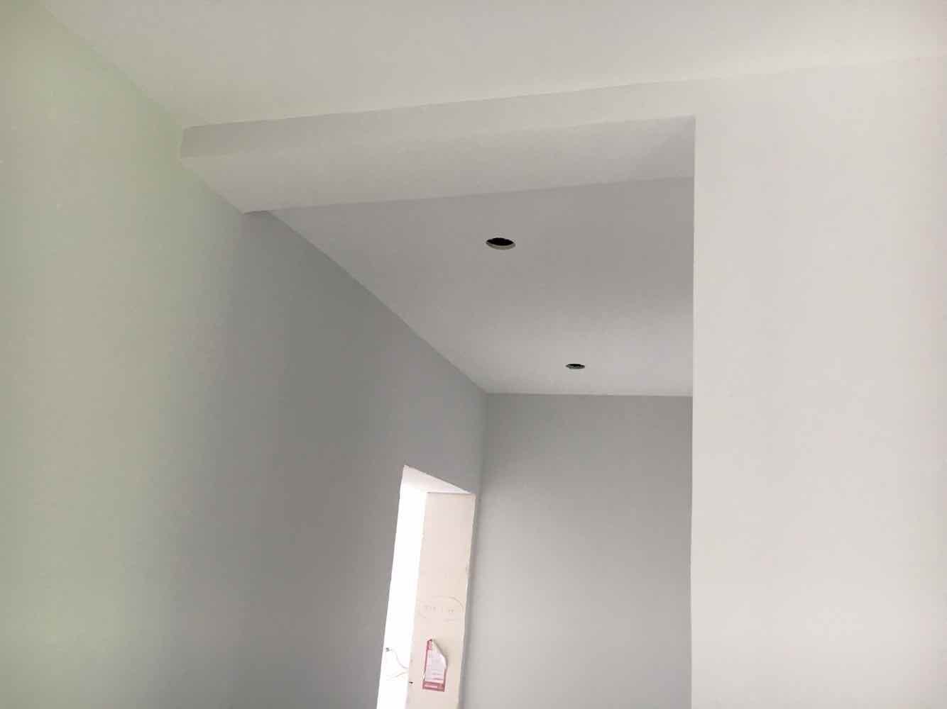 新湖明珠城油面及乳胶漆面漆验收效果图