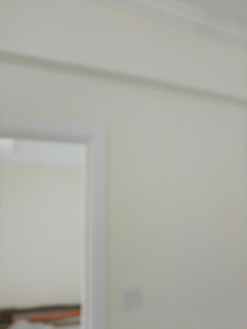 美联奥林匹克四期油面及乳胶漆面漆验收效果图