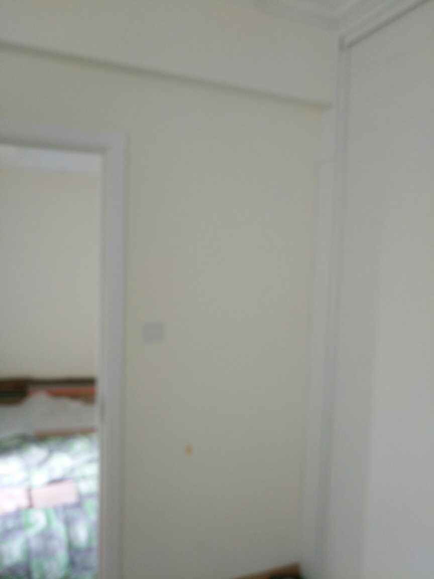 美联奥林匹克四期油面及乳胶漆面漆验收效果图