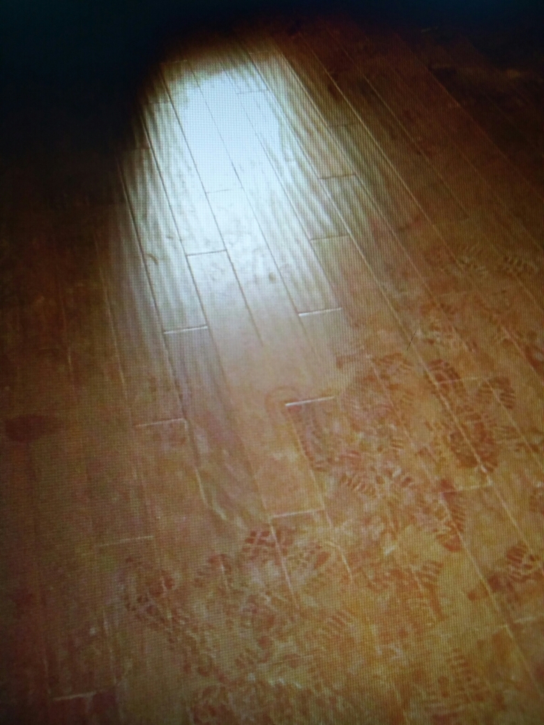 世纪江尚竣工验收效果图