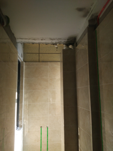 蓝晶绿洲墙砖验收效果图