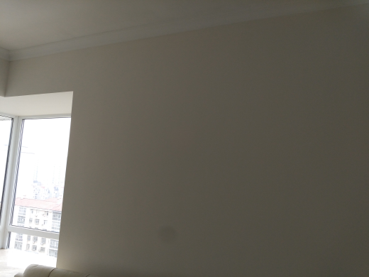 蓝晶绿洲乳胶漆基层验收效果图