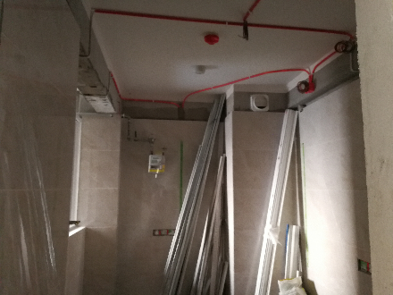 卧龙墨水湖边油面及乳胶漆面漆验收效果图