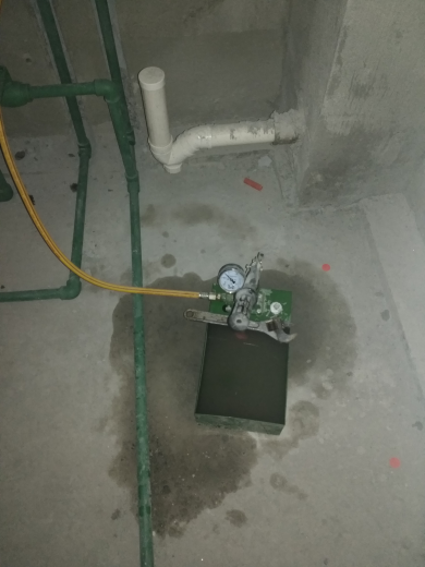 卧龙墨水湖边水电验收效果图