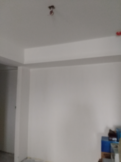 卧龙墨水湖边油面及乳胶漆面漆验收效果图