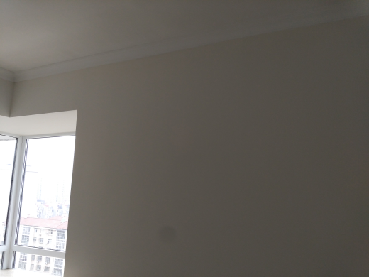 蓝晶绿洲乳胶漆基层验收效果图