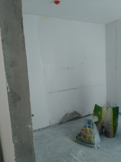 卧龙墨水湖边油面及乳胶漆面漆验收效果图