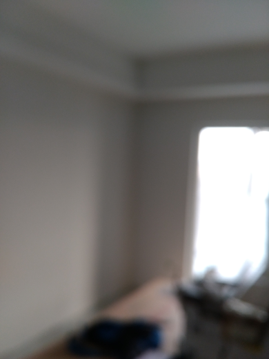 卧龙墨水湖边油面及乳胶漆面漆验收效果图