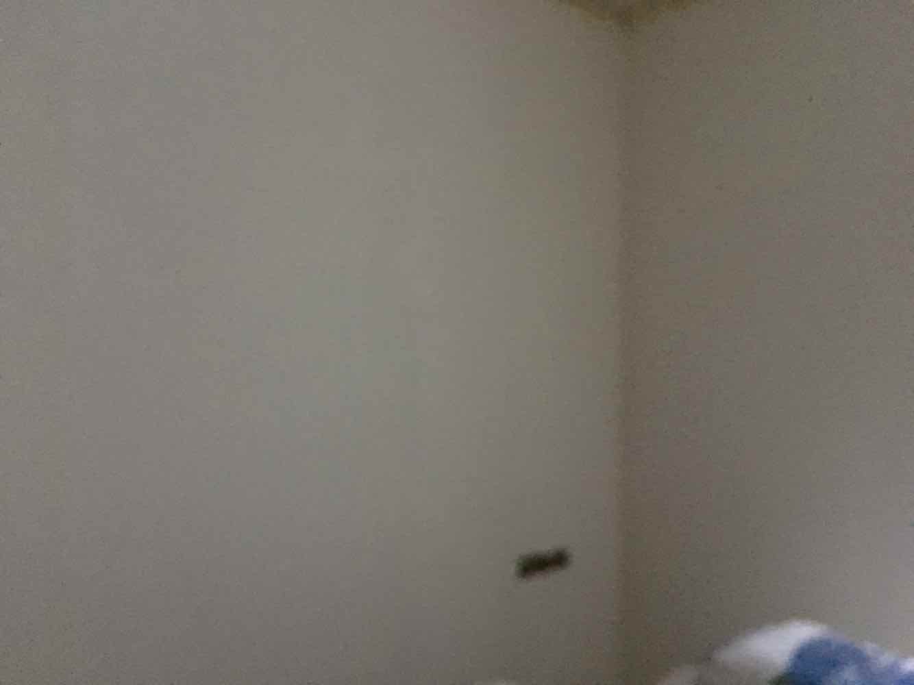 蓝晶绿洲乳胶漆基层验收效果图