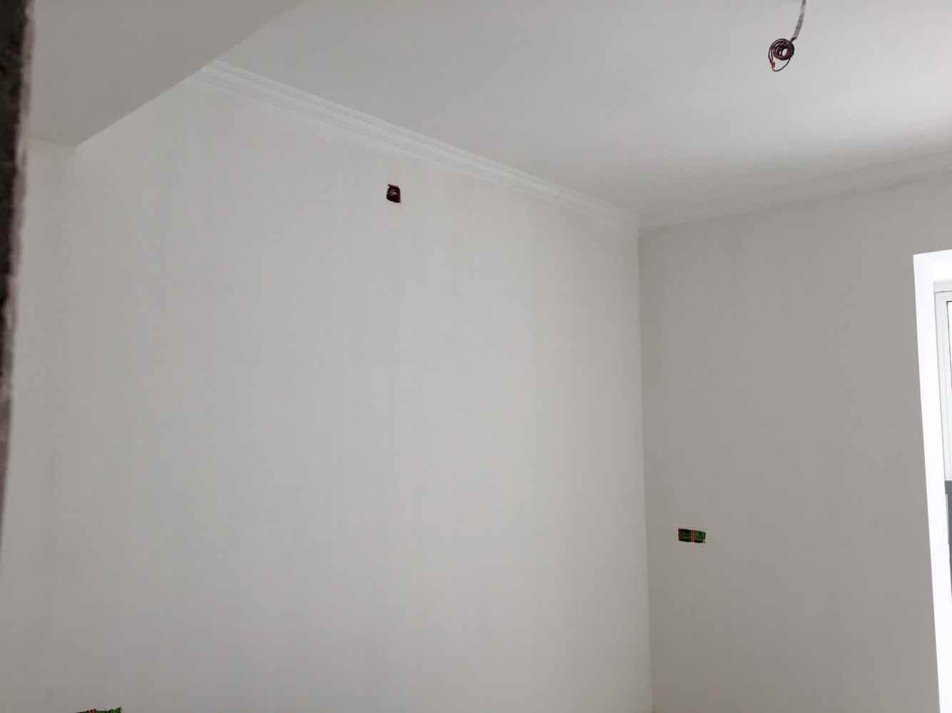 蓝晶绿洲油面及乳胶漆面漆验收效果图