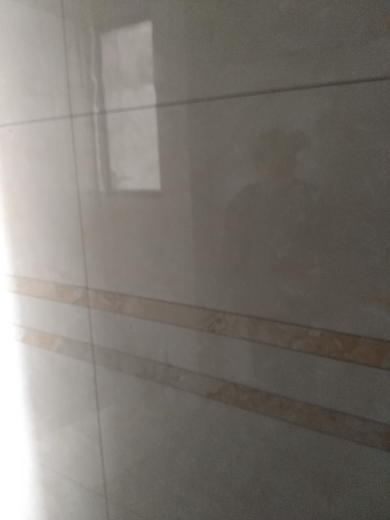 卧龙墨水湖边墙砖验收效果图