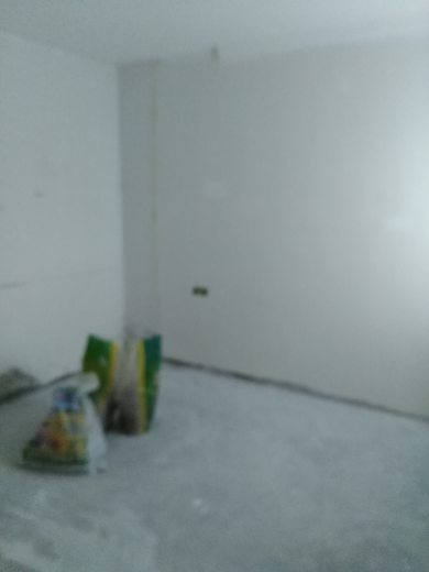 卧龙墨水湖边油面及乳胶漆面漆验收效果图