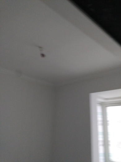 蓝晶绿洲油面及乳胶漆面漆验收效果图