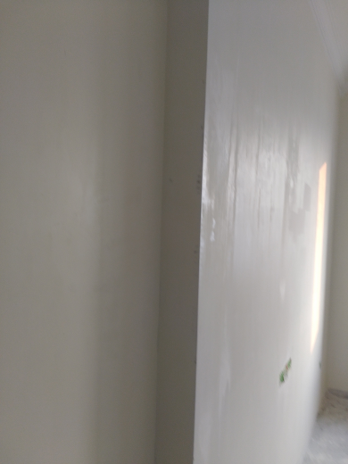 卧龙墨水湖边乳胶漆基层验收效果图